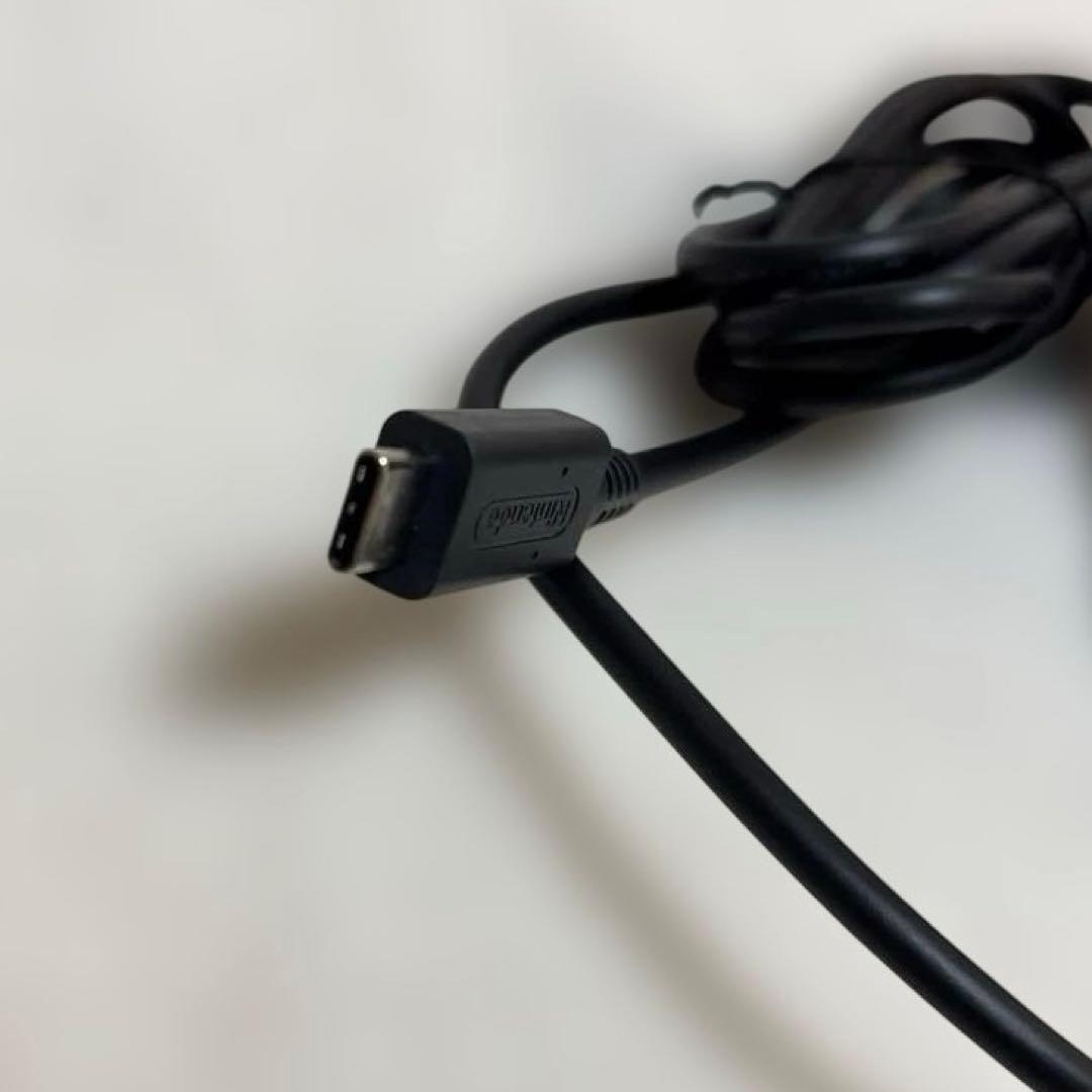 【美品✨】2025年購入 Nintendo Switch Lite 本体