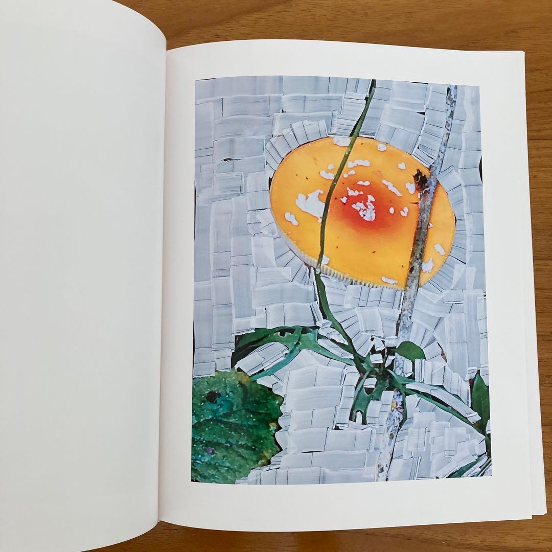 絶版 Viviane Sassen 写真集 Of Mud and Lotus