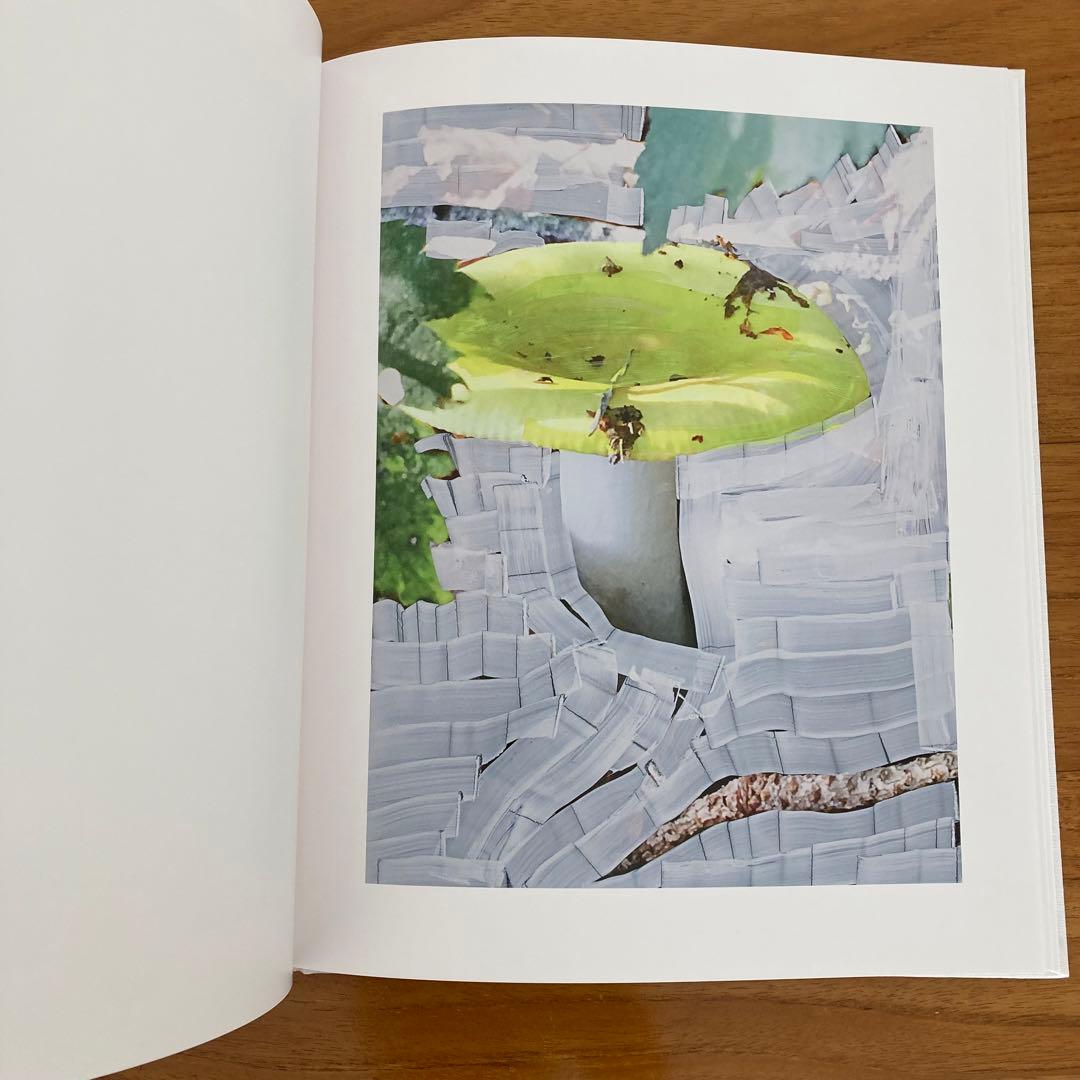 絶版 Viviane Sassen 写真集 Of Mud and Lotus