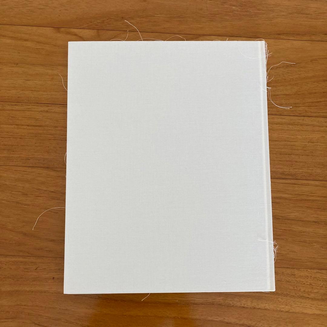 絶版 Viviane Sassen 写真集 Of Mud and Lotus