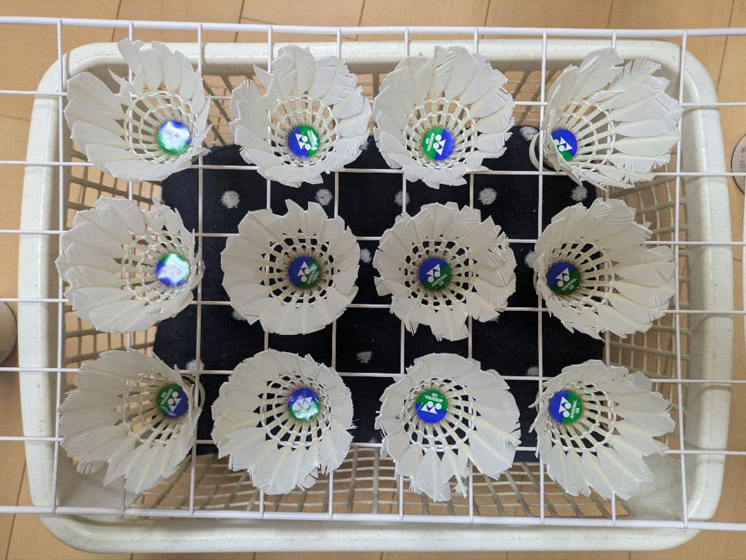 きのこ　バドミントン中古シャトル 120球