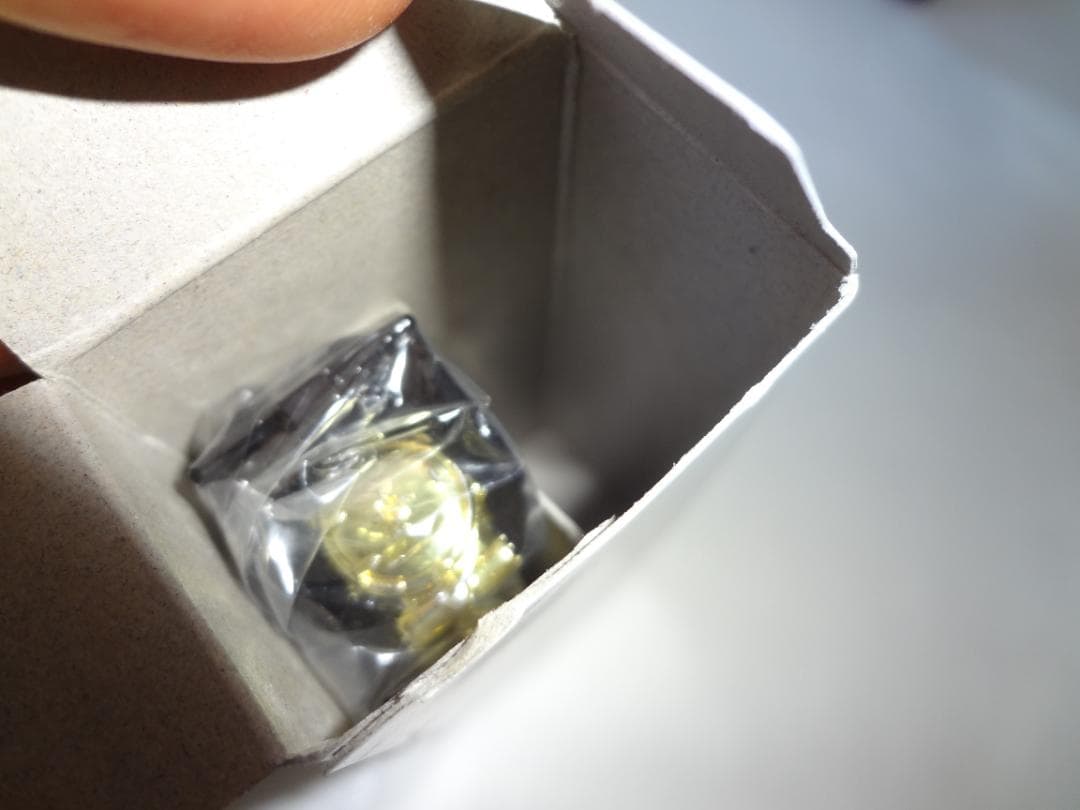 デジタルプラレール&トミカDX 初回限定盤　ウインドウズ