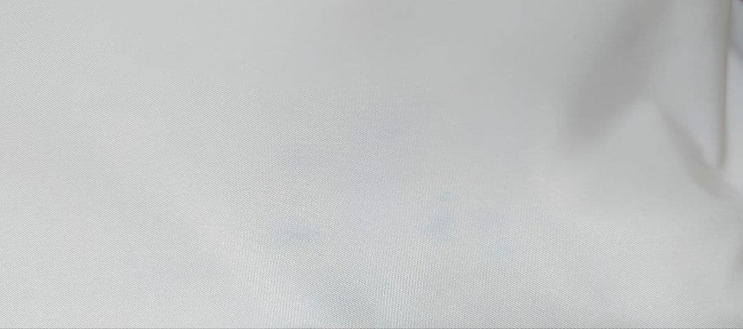 HIROKO HAYASHI LUINI ルイーニ 2wayナップサック