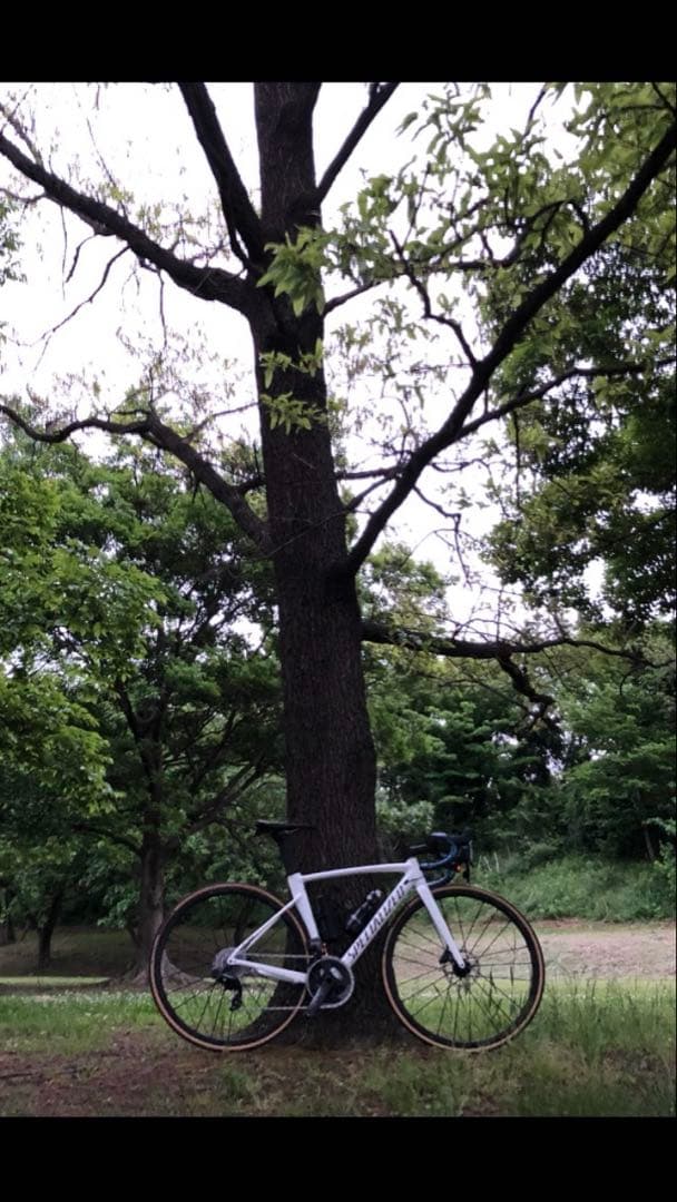 allez sprint disc 52サイズ