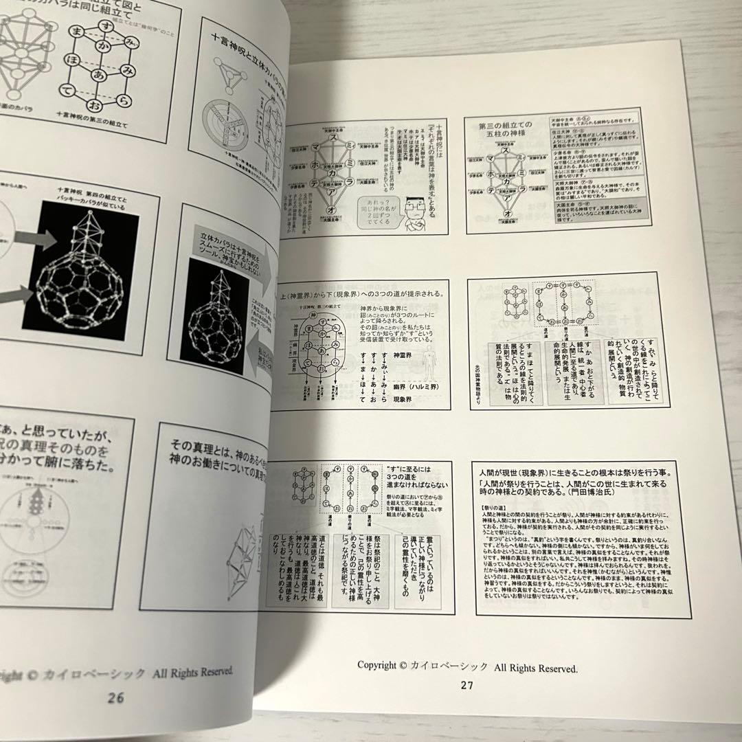 丸山修寛の創造医学セミナーDVD カタカムナ ゼロ磁場 クスリ絵