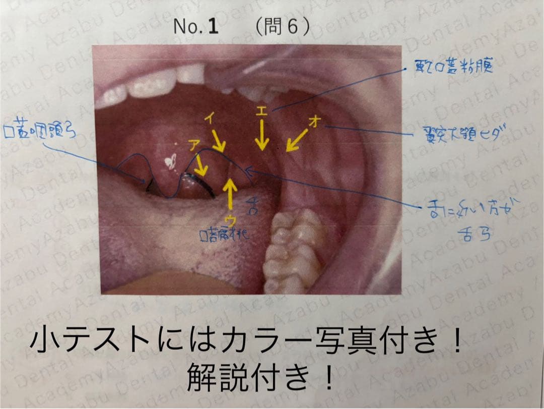 麻布デンタルアカデミー　本科生　テキスト　+DES講義資料
