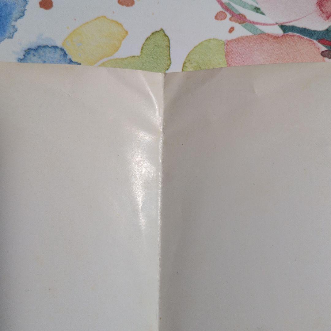 G-SCHMITT 1st 20cmソノシートRBFレーベル、写真付き