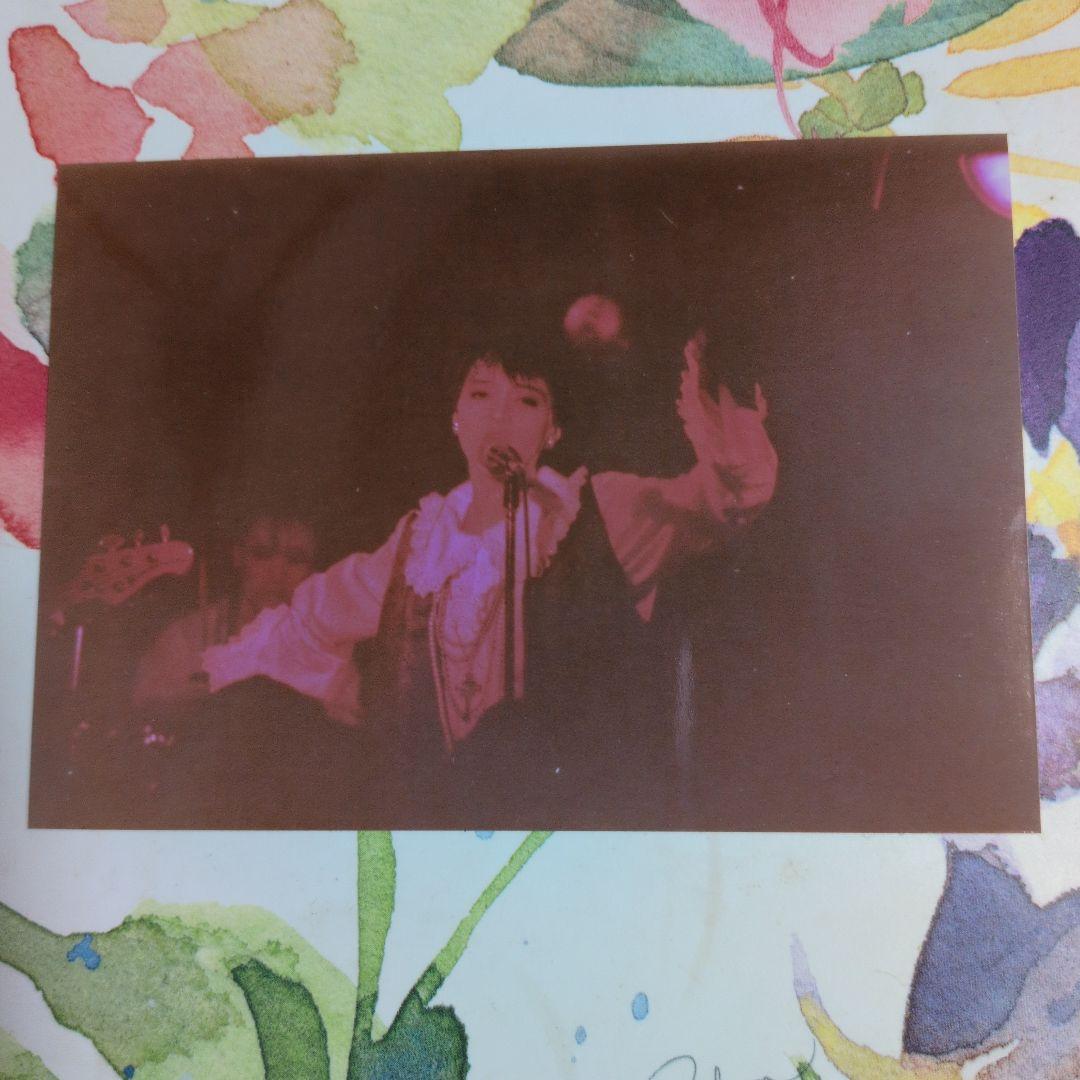 G-SCHMITT 1st 20cmソノシートRBFレーベル、写真付き