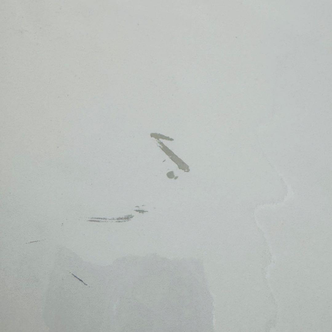 StrayKids 直筆サイン入りミニポスター MANIAC