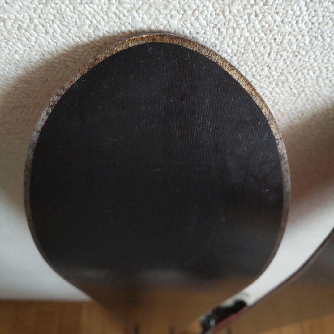 BLIZZARD スキー板 120cm ジュニア　【ビンディング付】