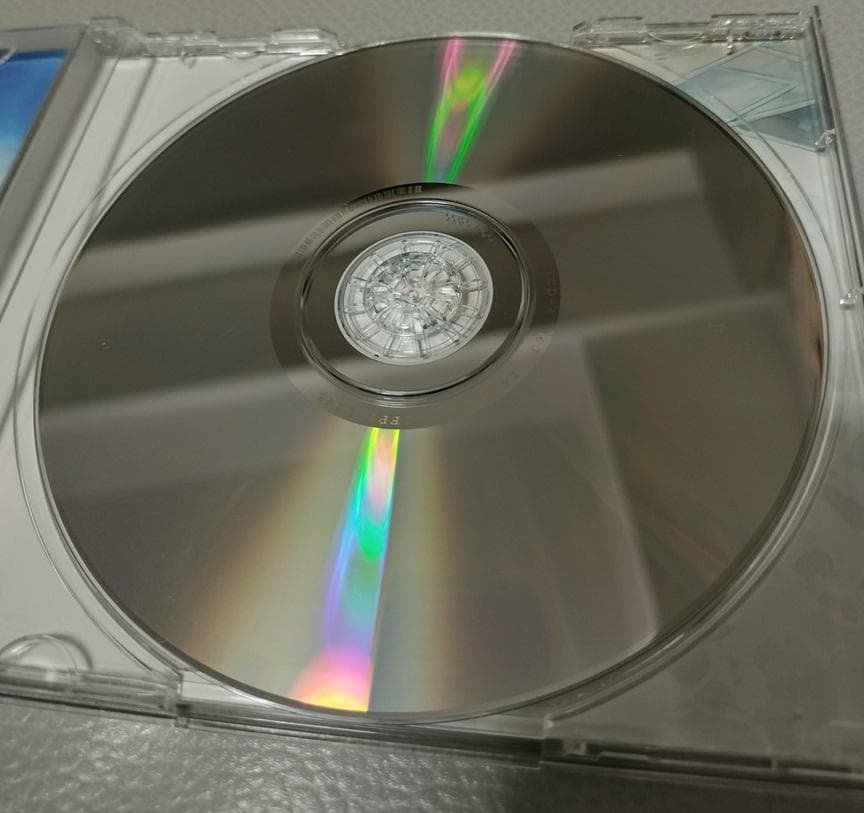 空が盗まれた日　とんかつぺんぎん