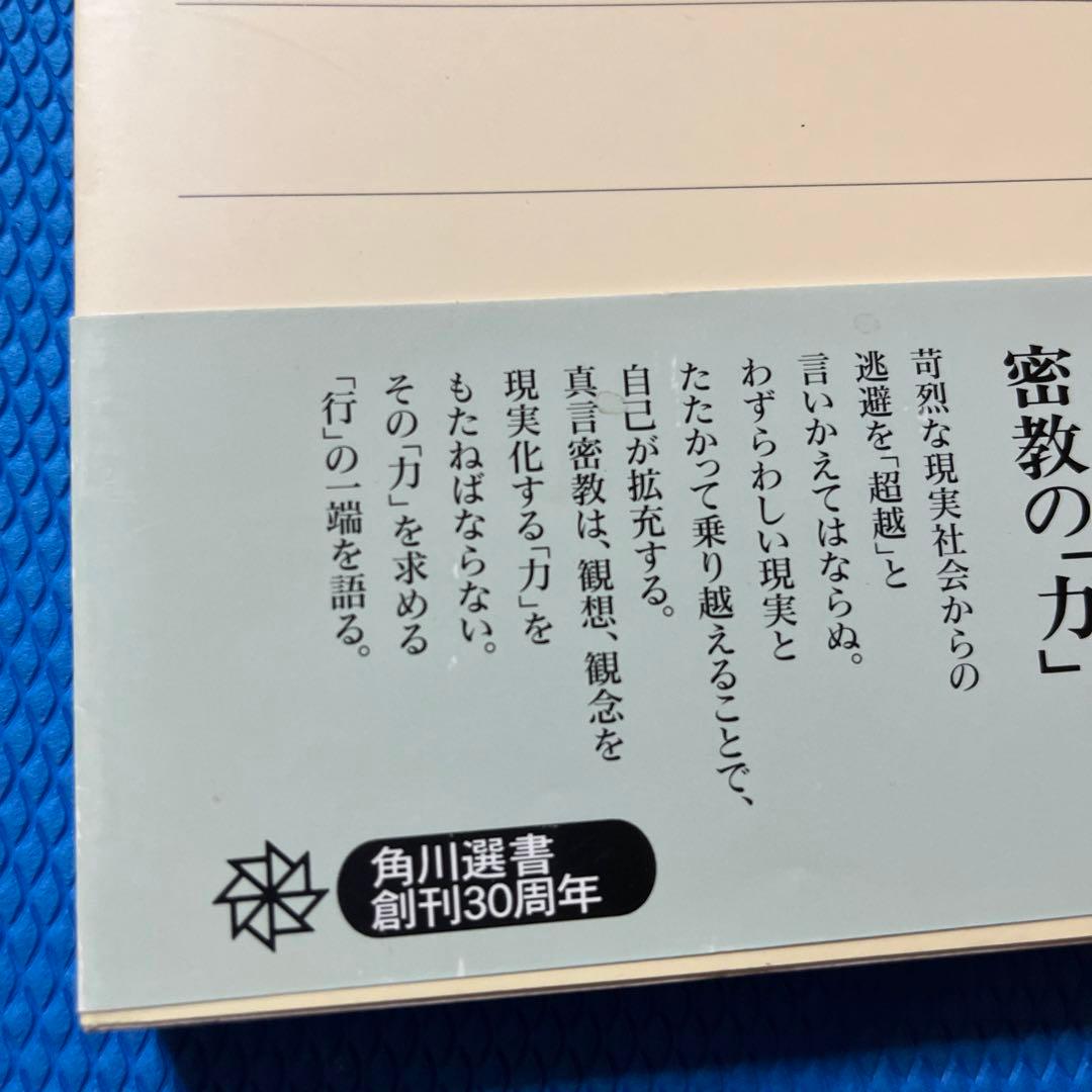 密教入門 : 求聞持聡明法の秘密
