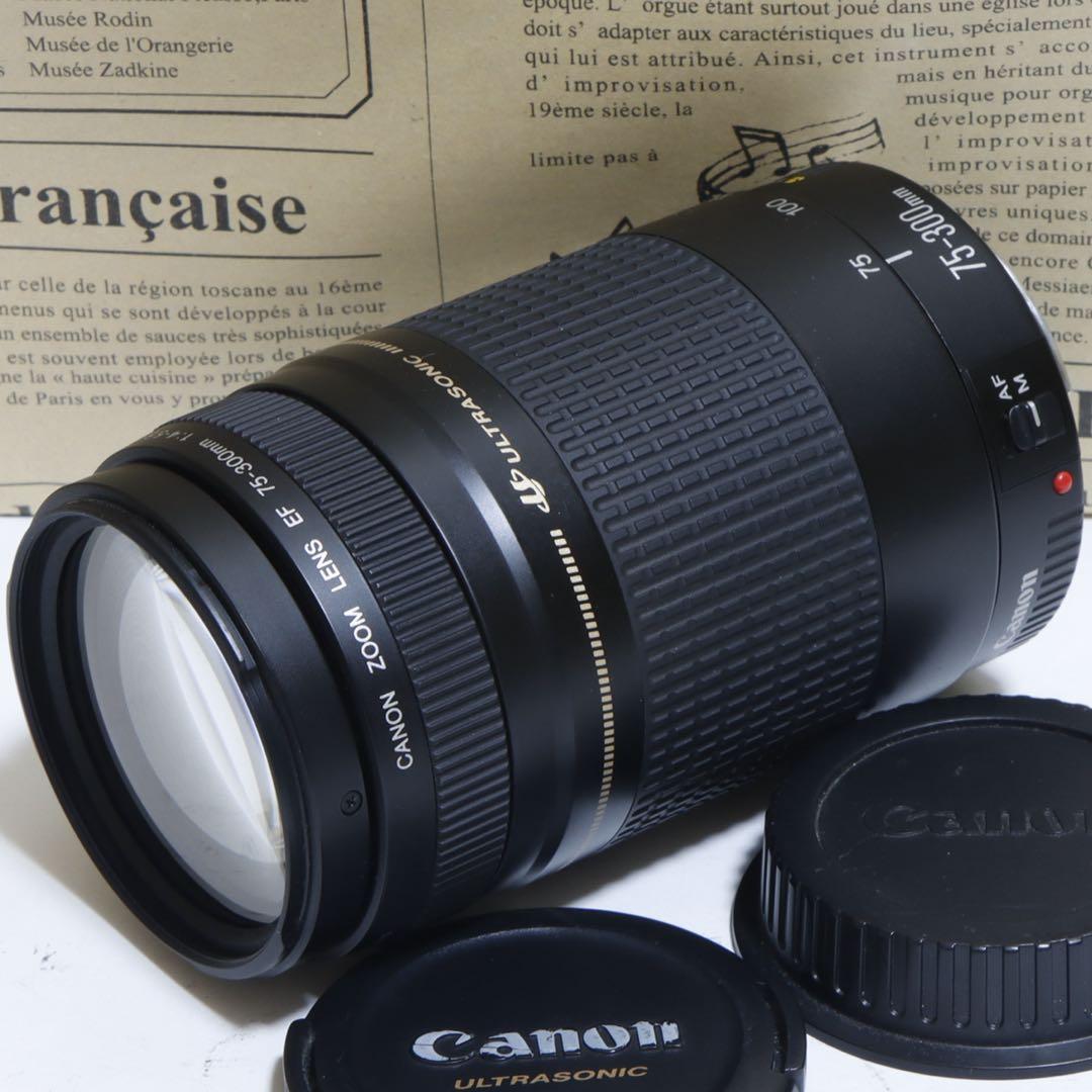 ◇ 大迫力望遠!◇Canon純正 75-300mm II型 超望遠◇