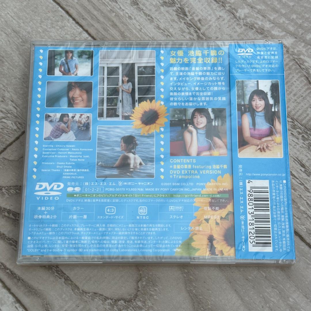 「金髪の草原」featuring 池脇千鶴：未開封DVD