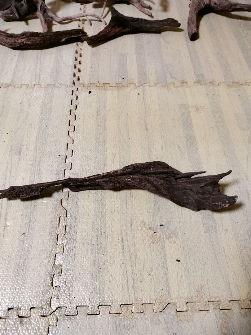 わ*ち様 水槽用流木 複数セット ホーンウッド ブランチウッド