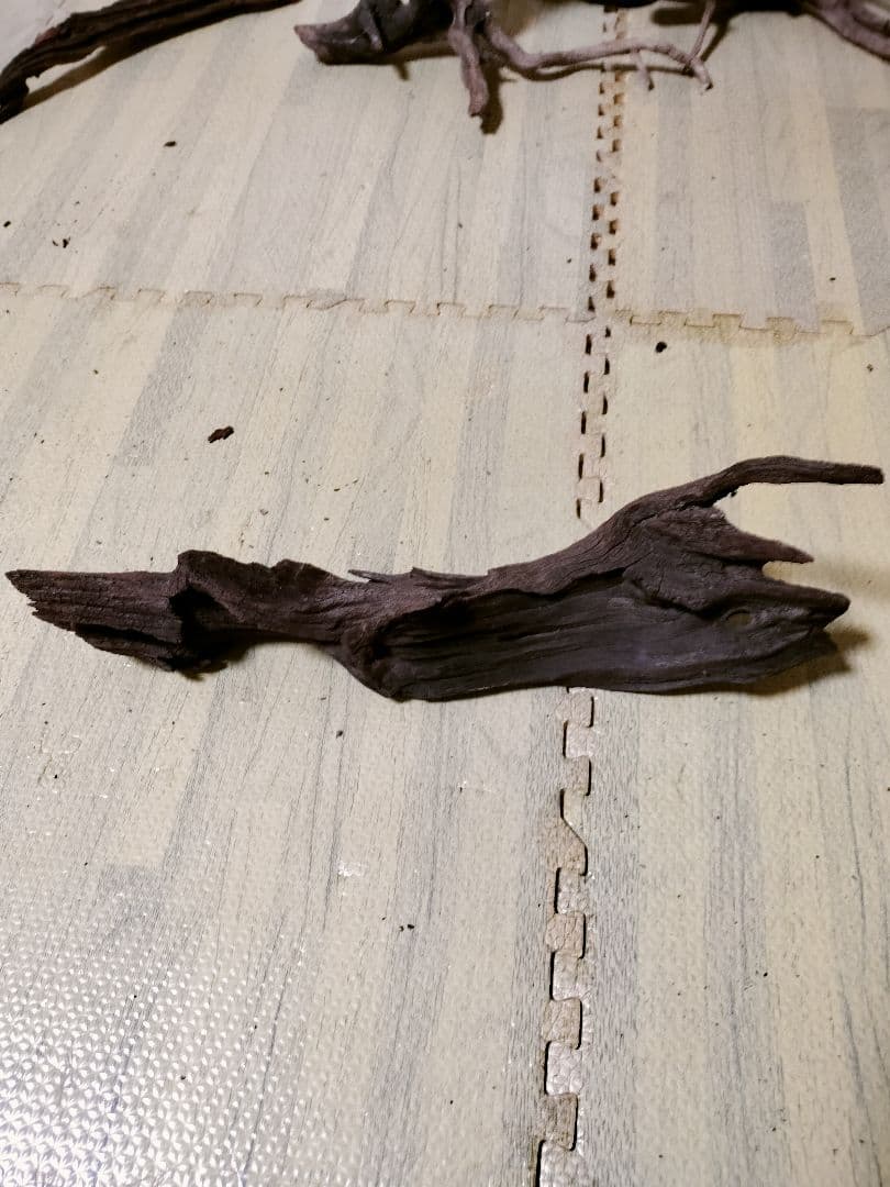 わ*ち様 水槽用流木 複数セット ホーンウッド ブランチウッド