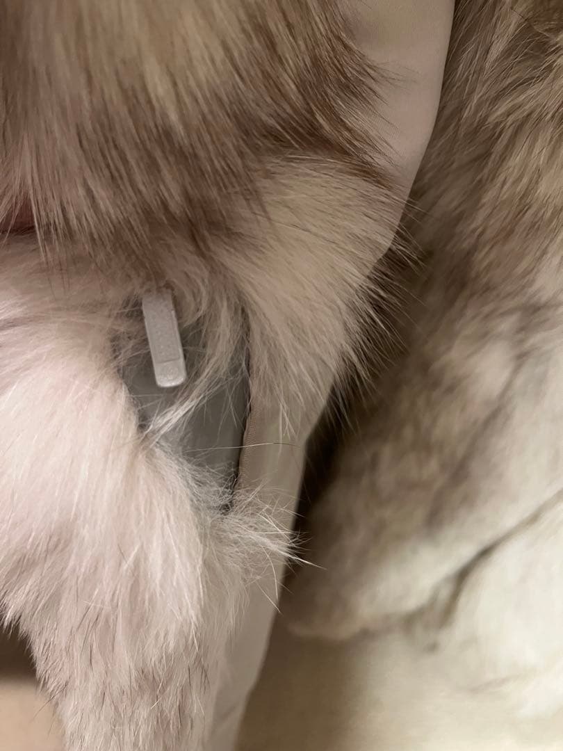 ブルーフォックス　毛皮　美品