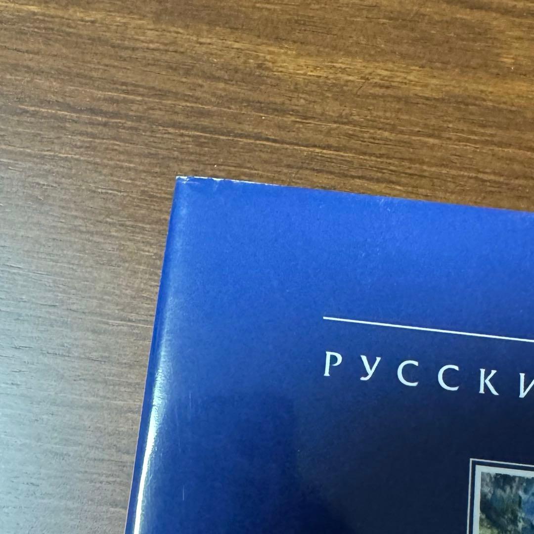 【入手困難】ニコライ・フェーシン　作品集