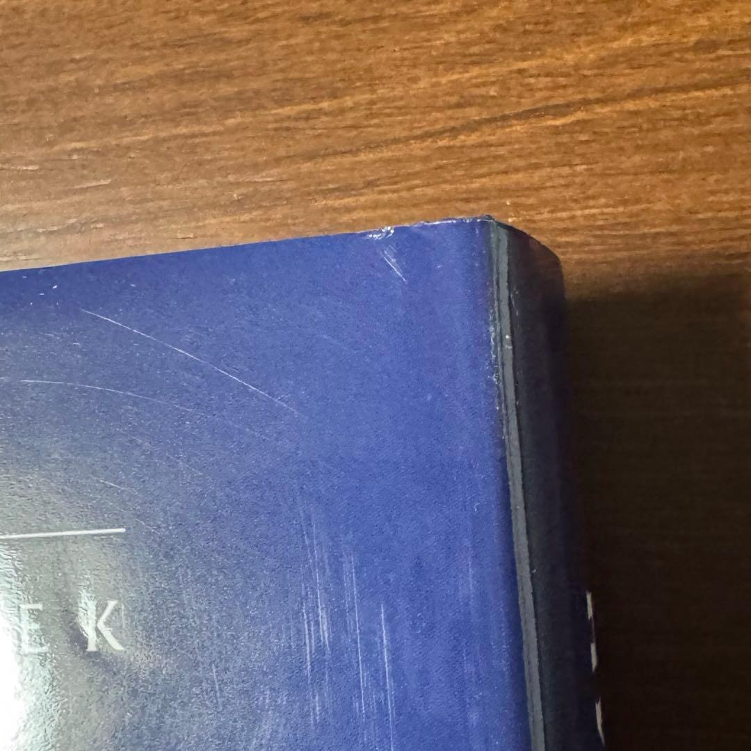 【入手困難】ニコライ・フェーシン　作品集