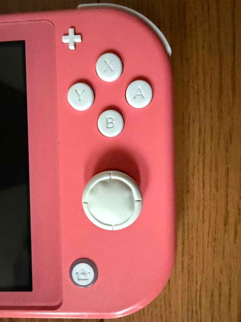 ニンテンドー Nintendo Switch Lite ジャンク　本体のみ