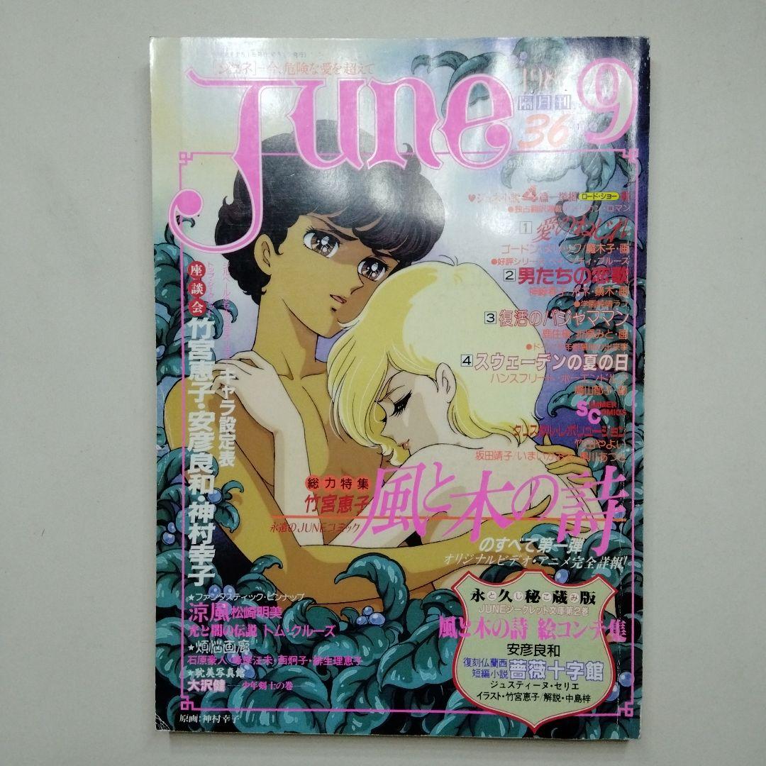 ジュネ 風と木の詩 竹宮恵子 36 37 38 1987年 1988 JUNE