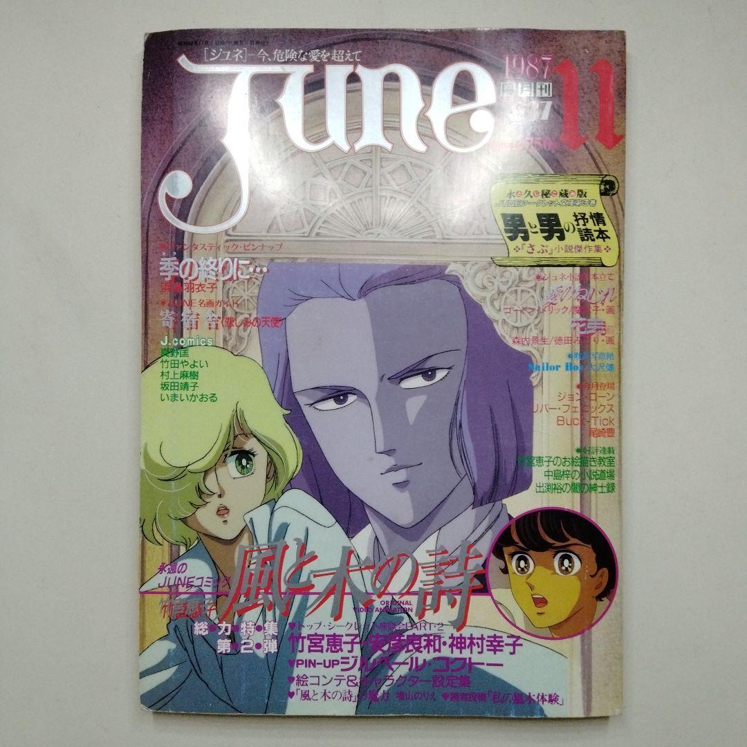 ジュネ 風と木の詩 竹宮恵子 36 37 38 1987年 1988 JUNE