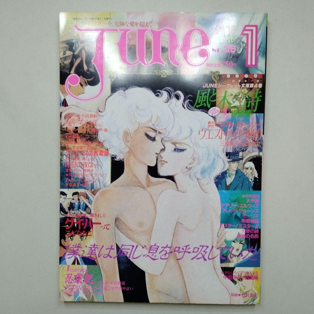 ジュネ 風と木の詩 竹宮恵子 36 37 38 1987年 1988 JUNE