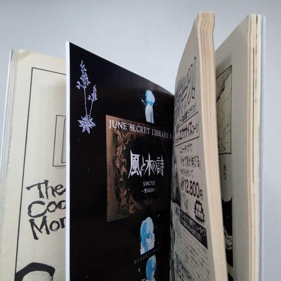 ジュネ 風と木の詩 竹宮恵子 36 37 38 1987年 1988 JUNE