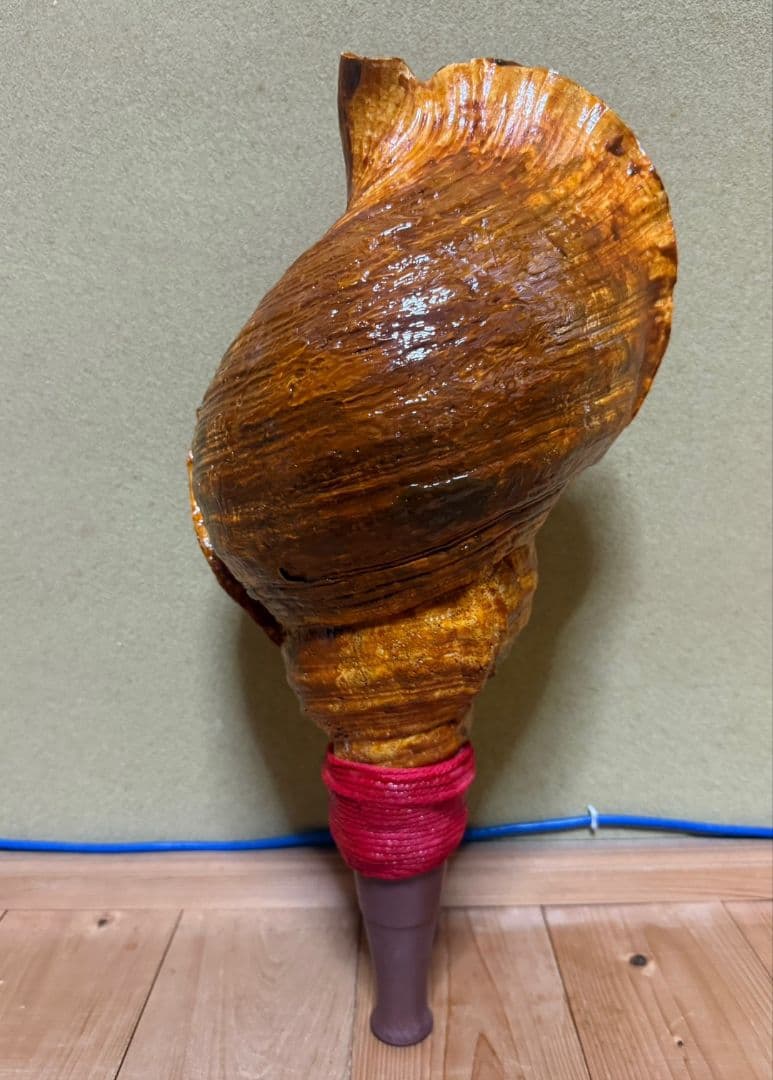 特大修験道法螺貝46㎝　肉厚　山伏ホラガイ　ほら貝