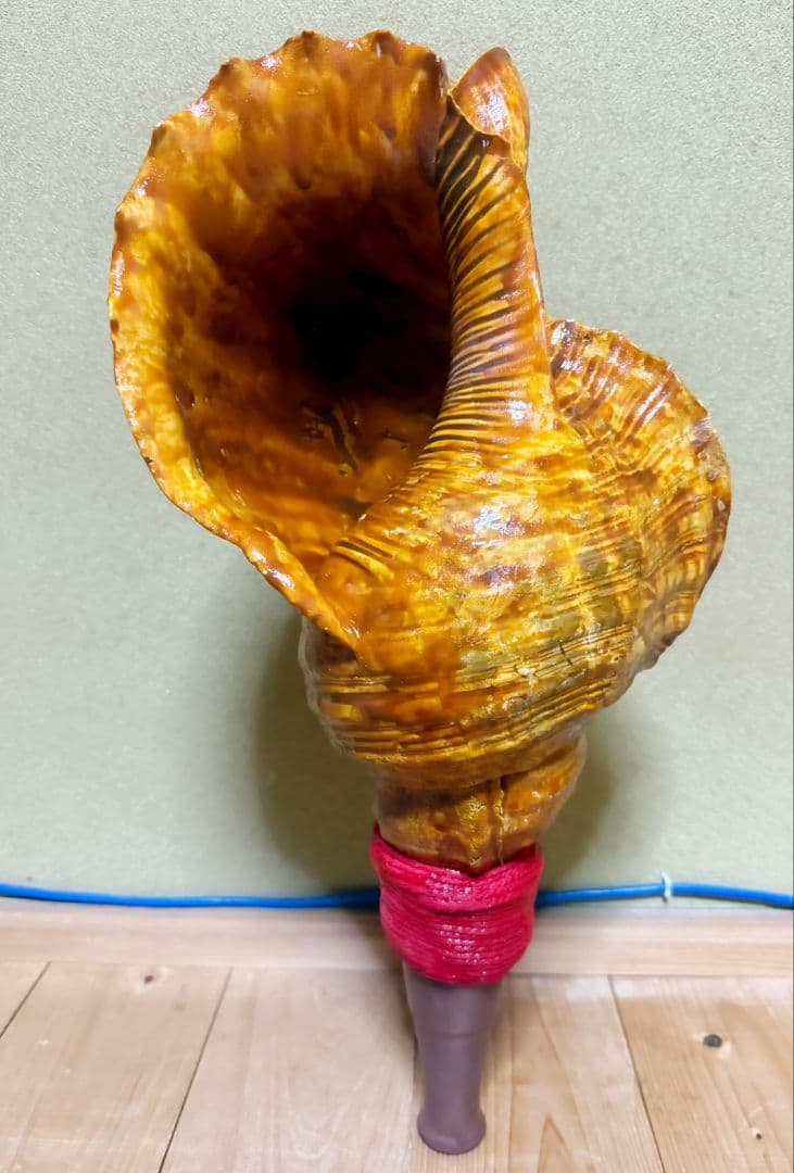 特大修験道法螺貝46㎝　肉厚　山伏ホラガイ　ほら貝