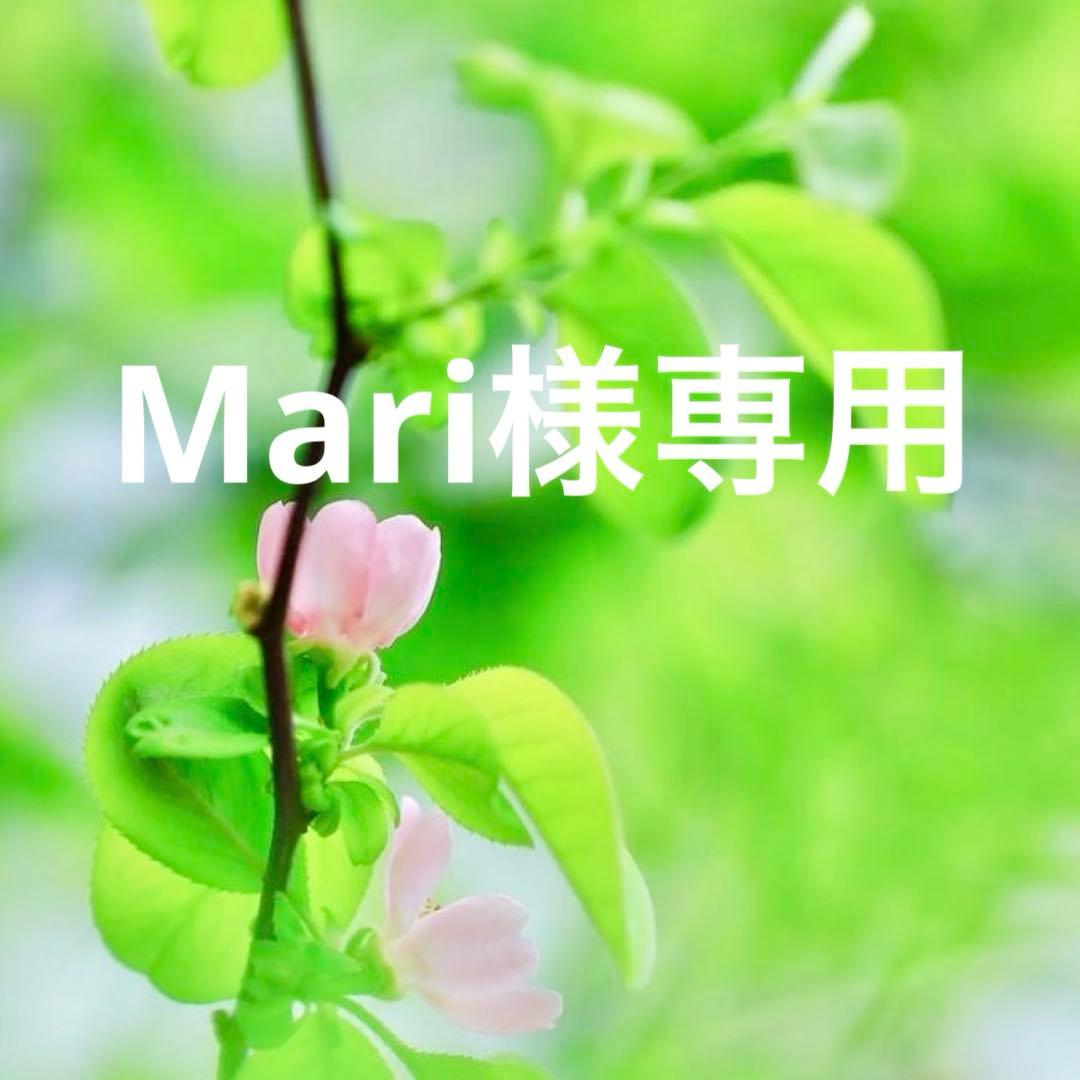 Mari BICOLOR RIBBON POCHETTE ポシェット