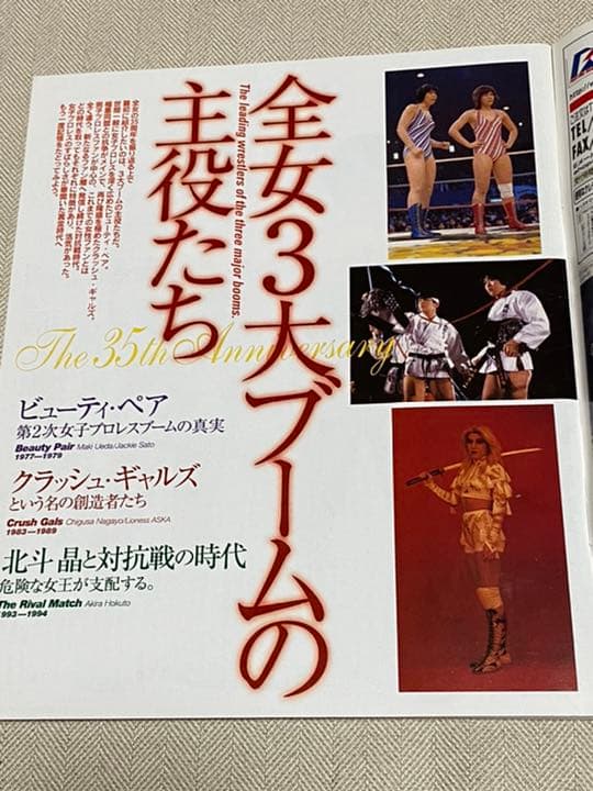 Lady's週刊ゴングSPECIAL 全日本女子プロレス35年史
