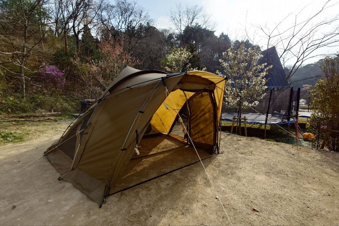 ZANE ARTS LOLO-M ゼインアーツ ロロM ＋特注Gシート 超美品