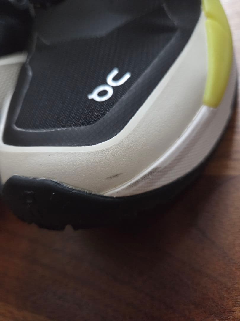 On THE ROGER Pro 2 Clay テニスシューズ　クレー