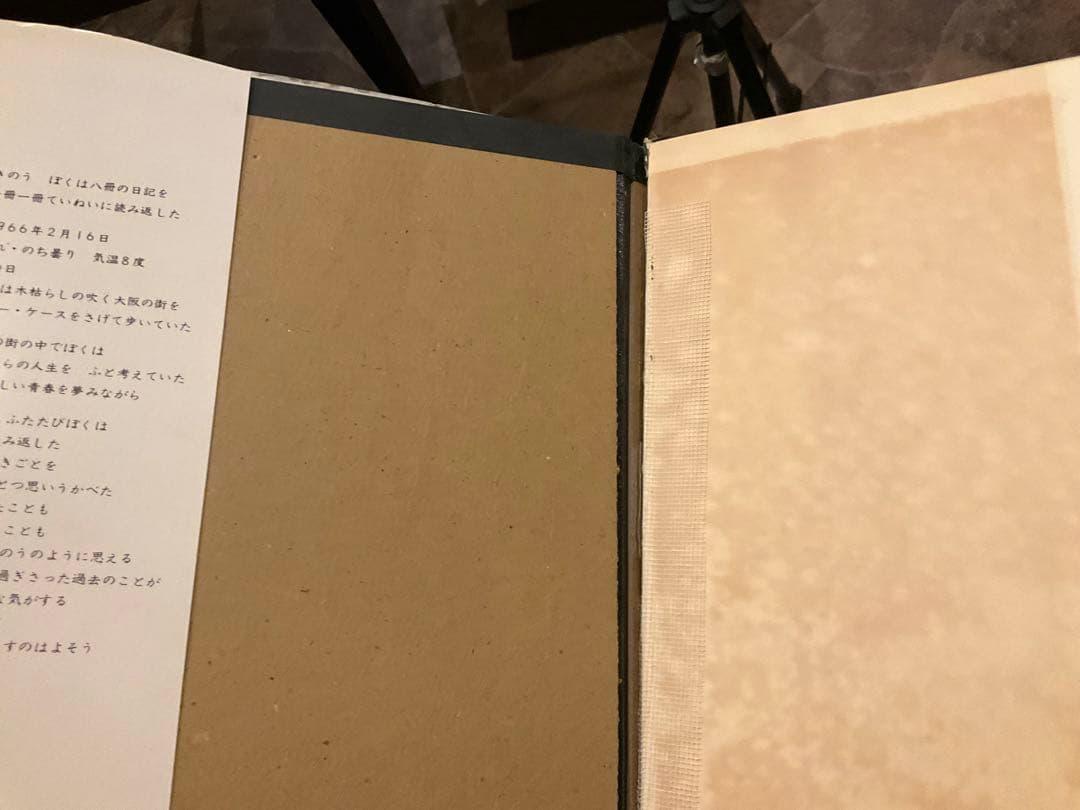 ザ・タイガース 日本の青春