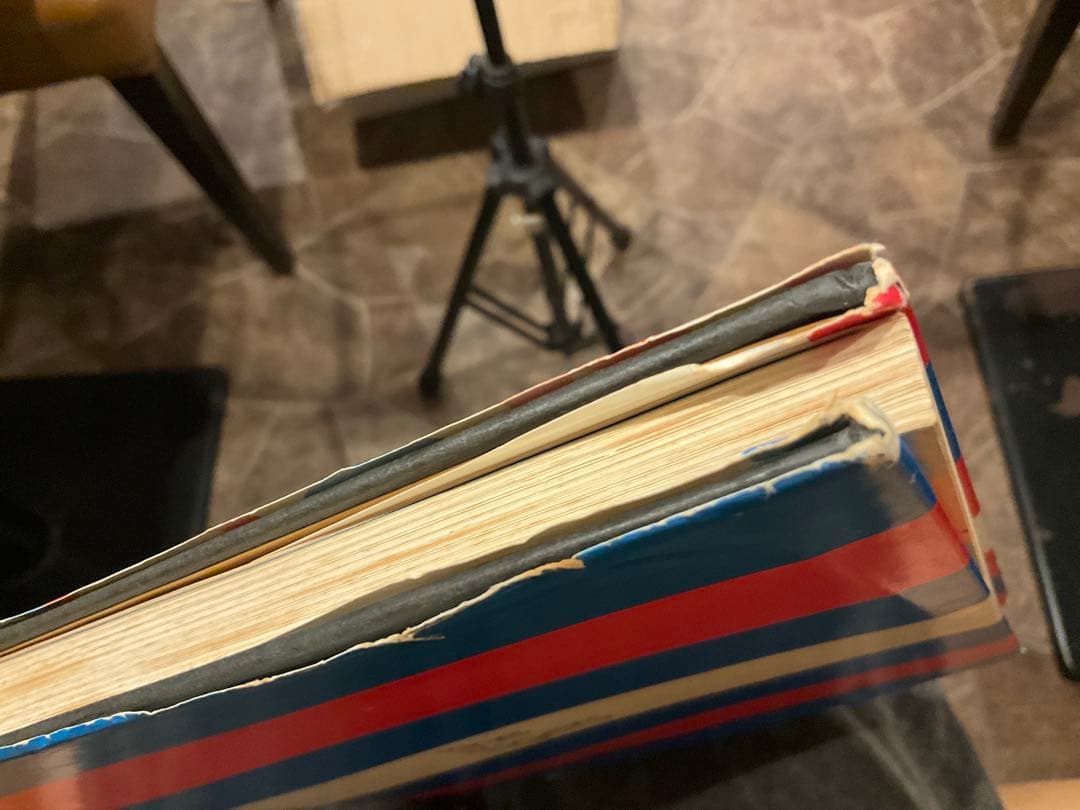 ザ・タイガース 日本の青春