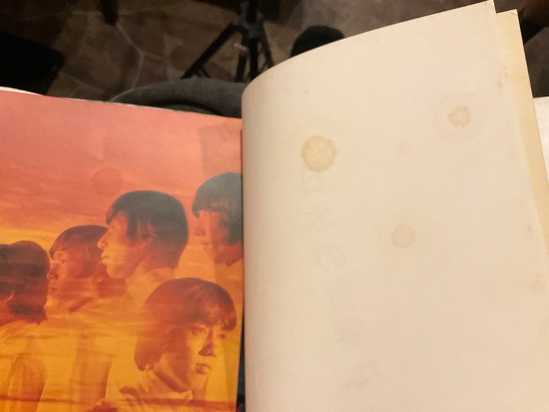 ザ・タイガース 日本の青春