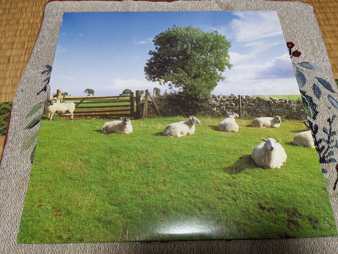 アンビエント名盤！The KLF / CHILL OUT