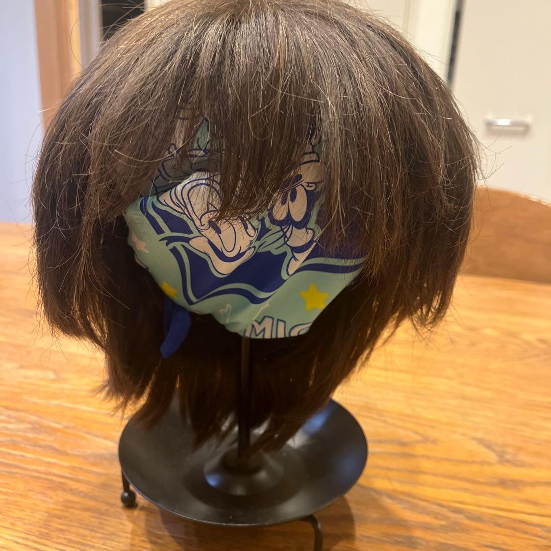 アートネイチャー ウィッグ ショート