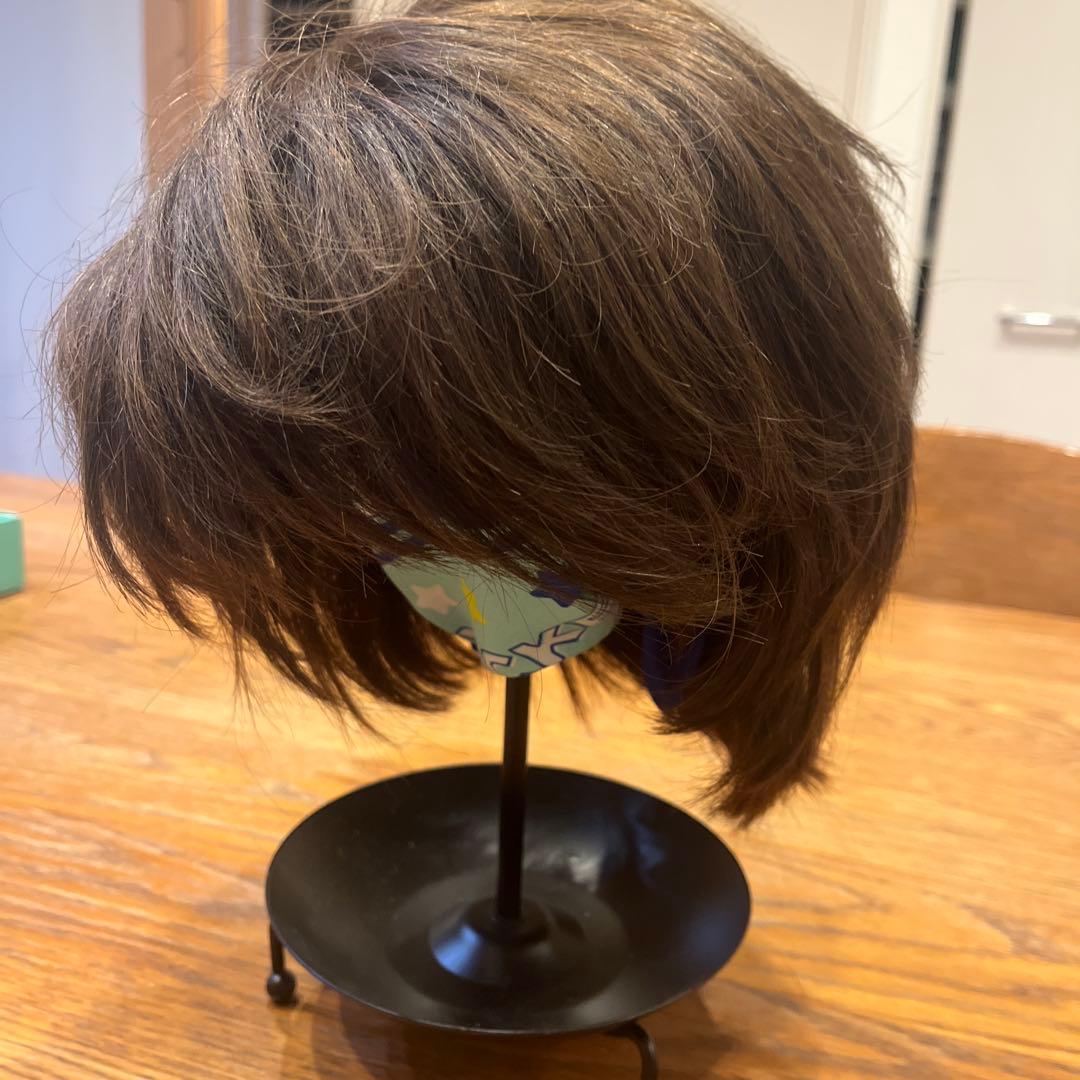 アートネイチャー ウィッグ ショート