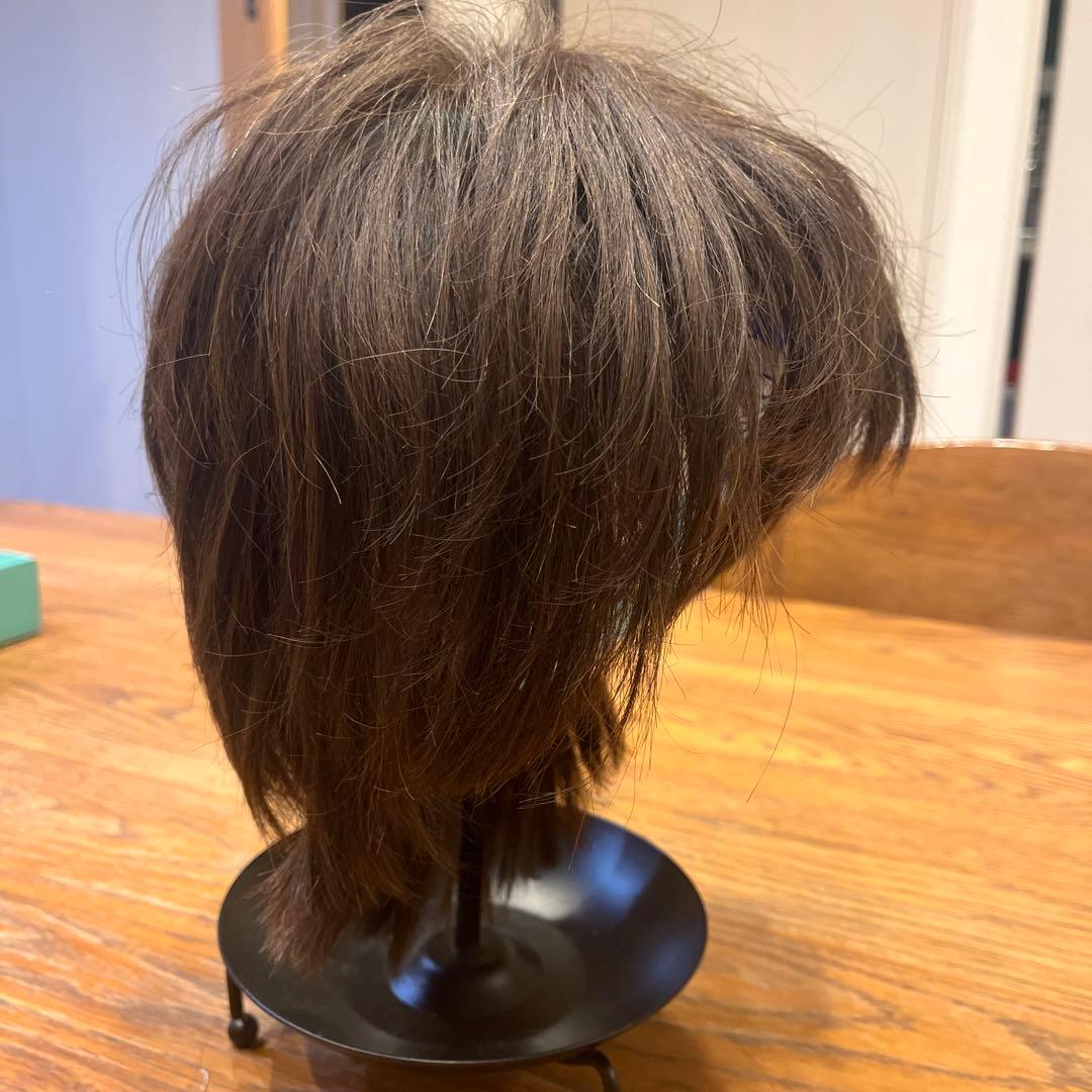 アートネイチャー ウィッグ ショート