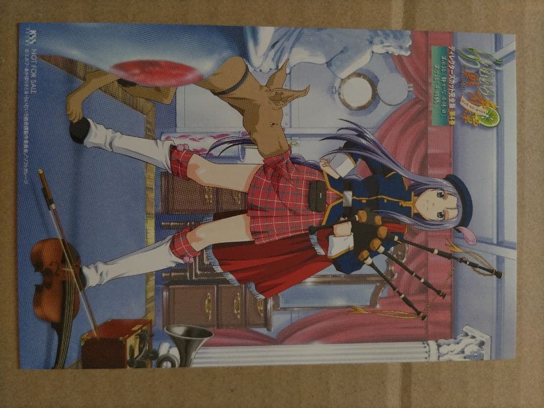 らいむいろ戦奇譚 ディレクターズカット 完全版 DVD 第4巻