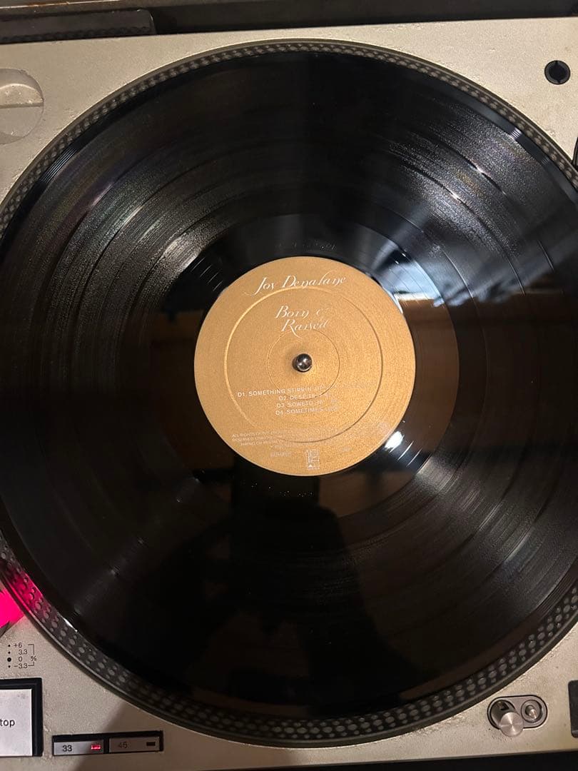 Joy Denalane Born & Raised 2LP レコード