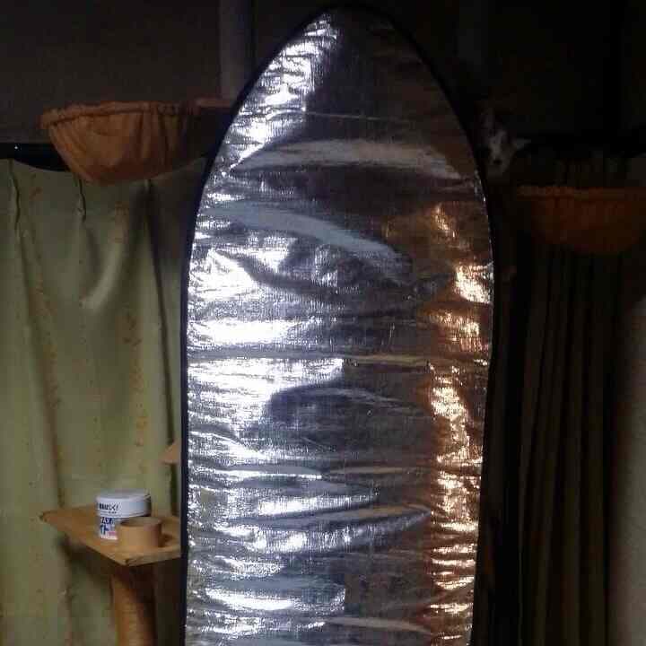 サーフィン ショートボード