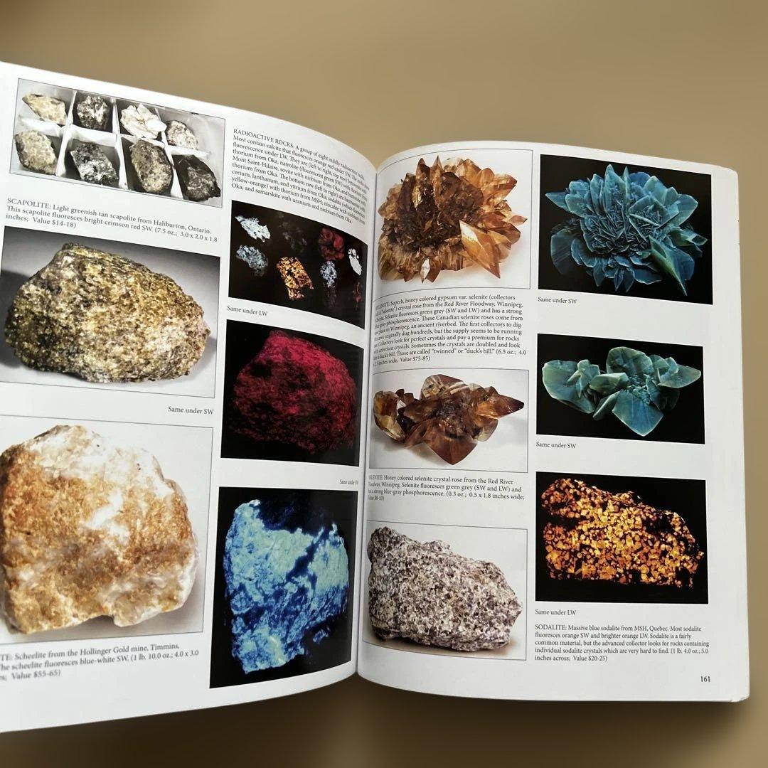 洋書 Fluorescent Minerals/Stuart L. Schneider