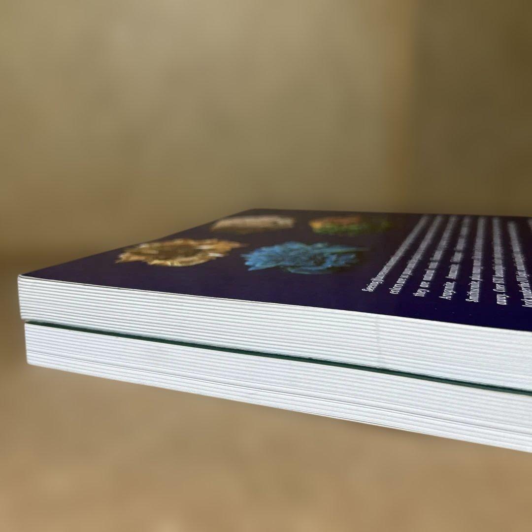 洋書 Fluorescent Minerals/Stuart L. Schneider