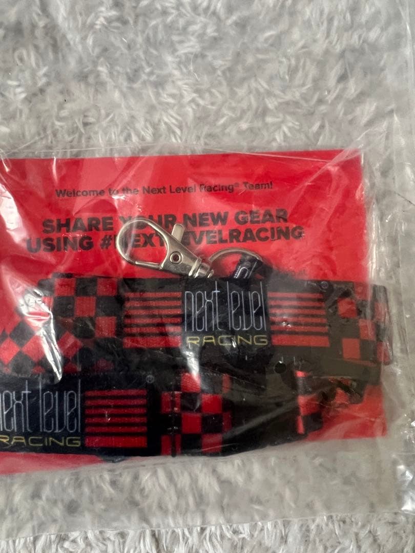 【たがはすさん専用】NLR F-GT Lite（フレームのみ）