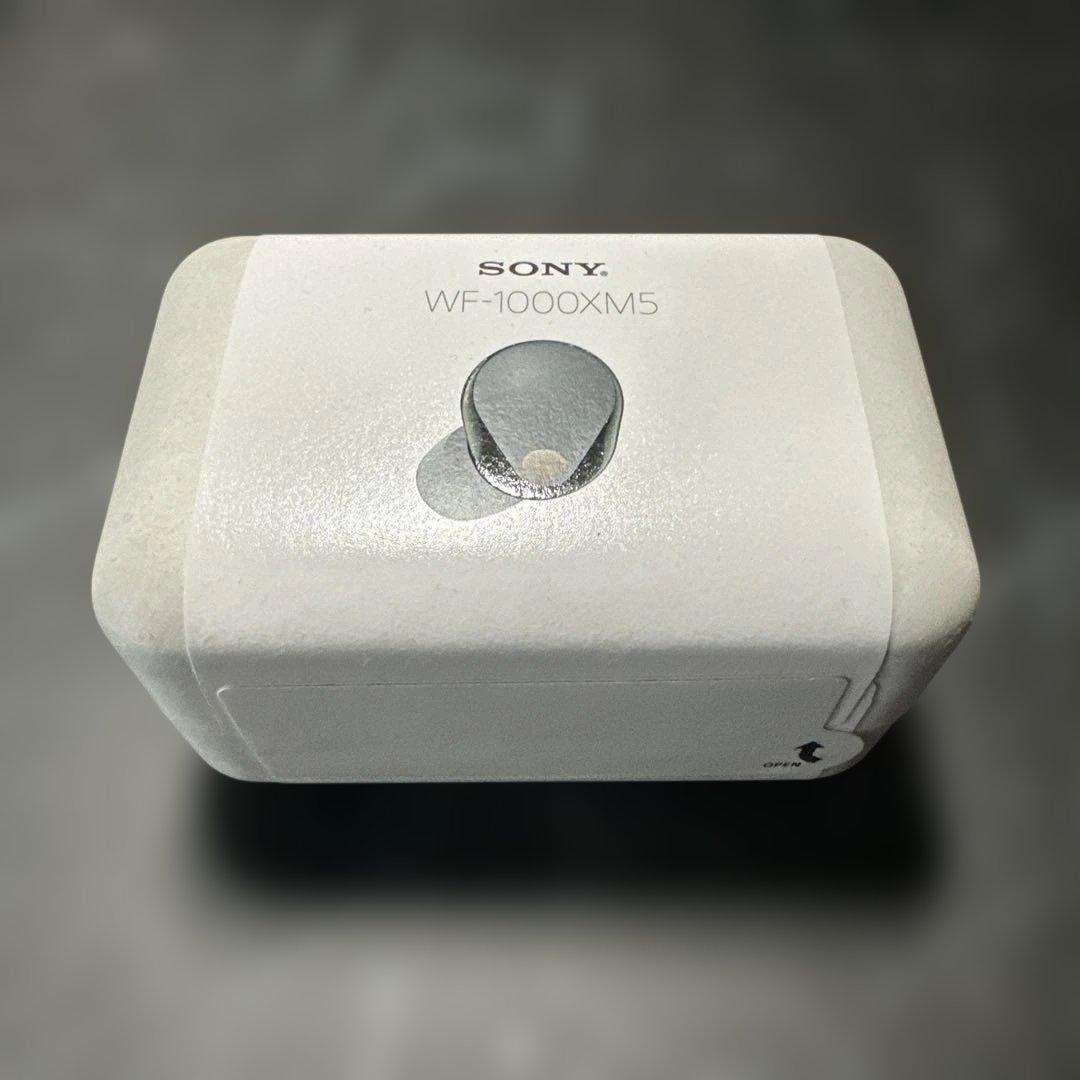 ぜ*る様 SONY WF-1000XM5 ワイヤレスイヤホン