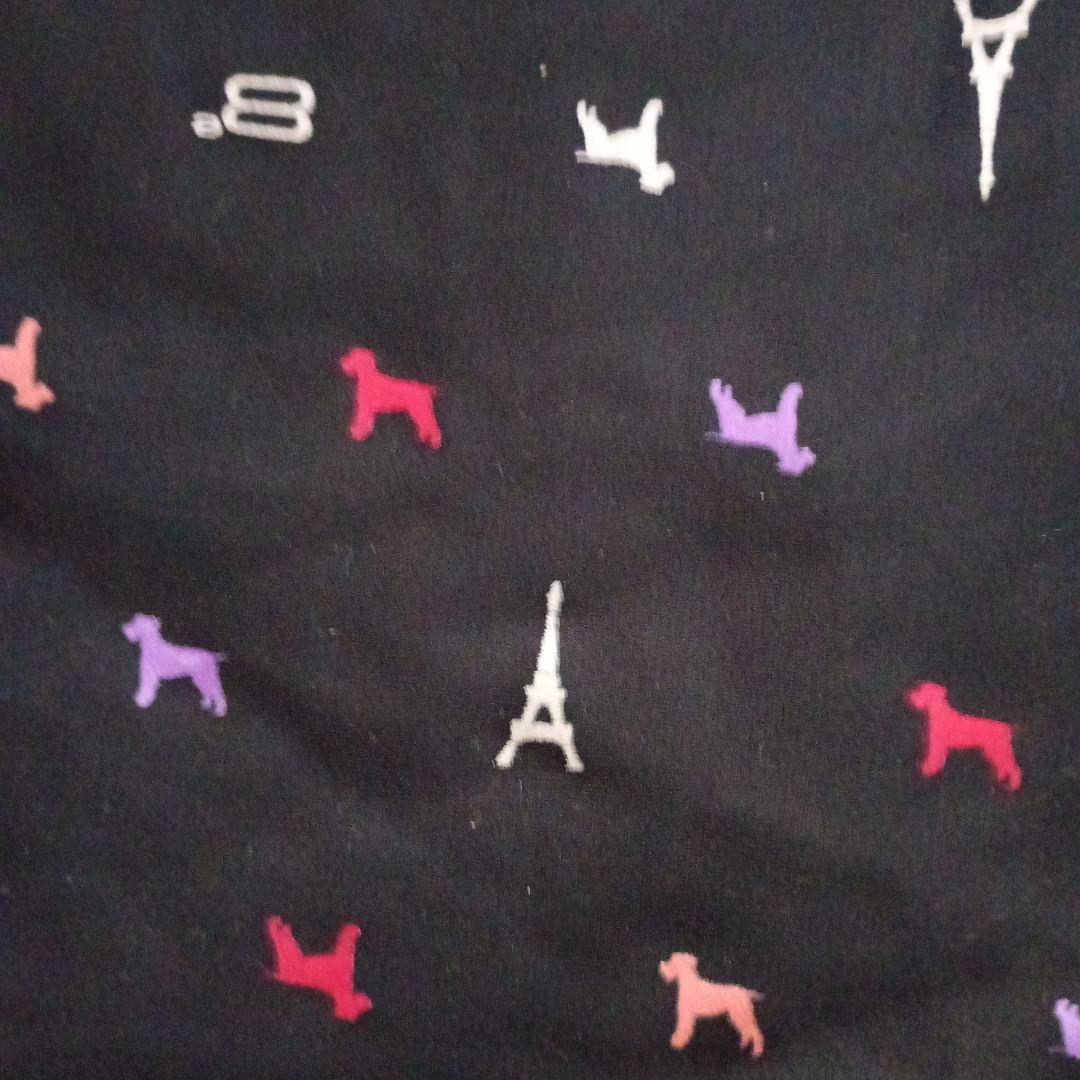 【そらそら♪】speedohuitiemeConverse 3点まとめ買い