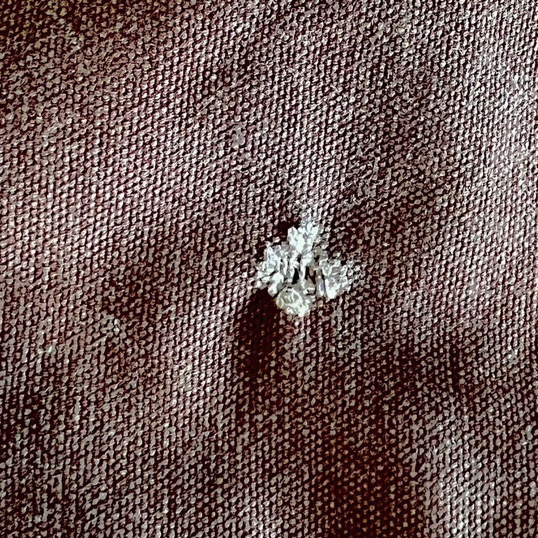 15s【Carhartt】ダックワークパンツ Brown